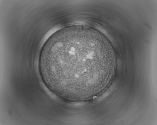 X0000113851426200910081636