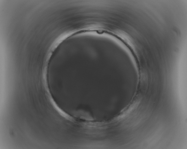 X0000113851429200910081636