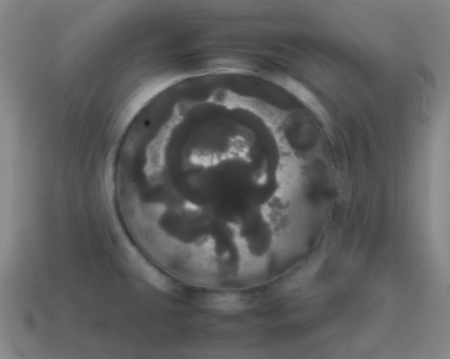 X0000113851431200910081636