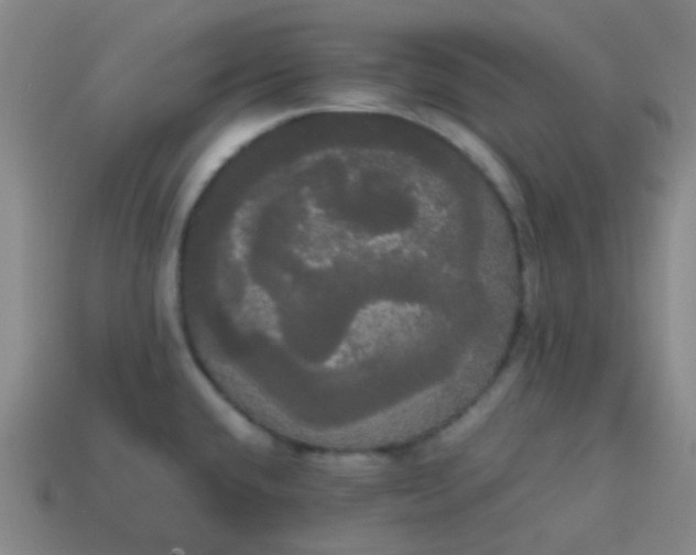 X0000113851432200910081636