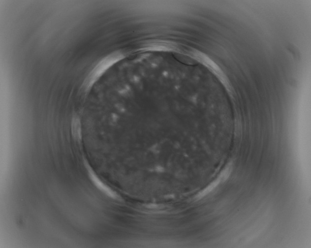 X0000113851433200910081636