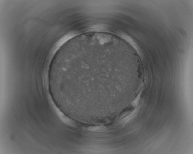 X0000113851434200910081637