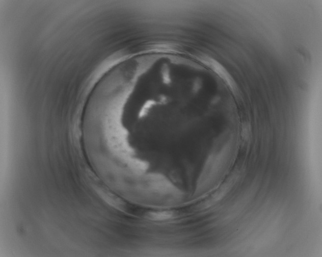 X0000113851435200910081637