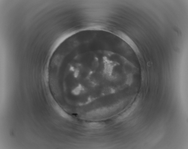 X0000113851436200910081637