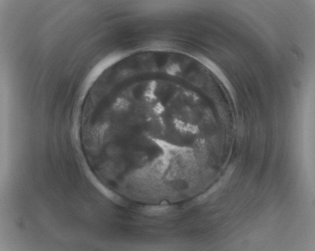 X0000113851437200910081637