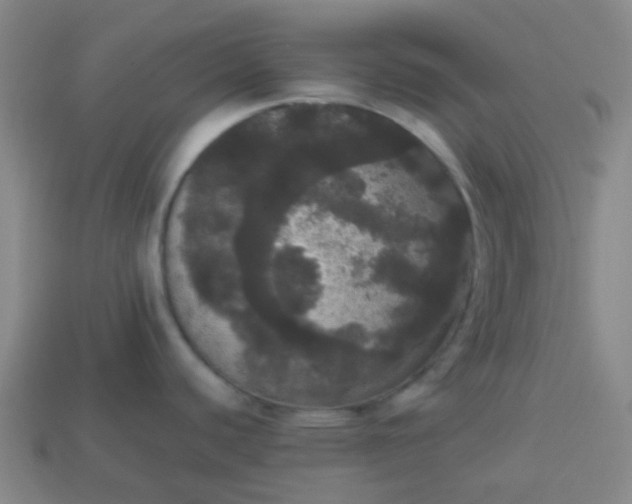 X0000113851440200910081637