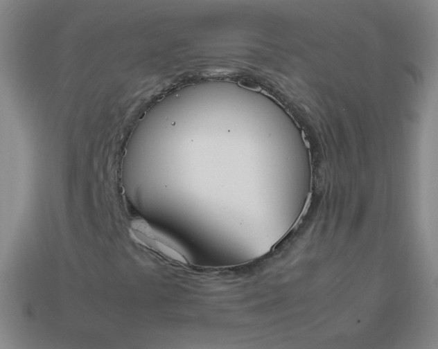 X0000113851441200910081636