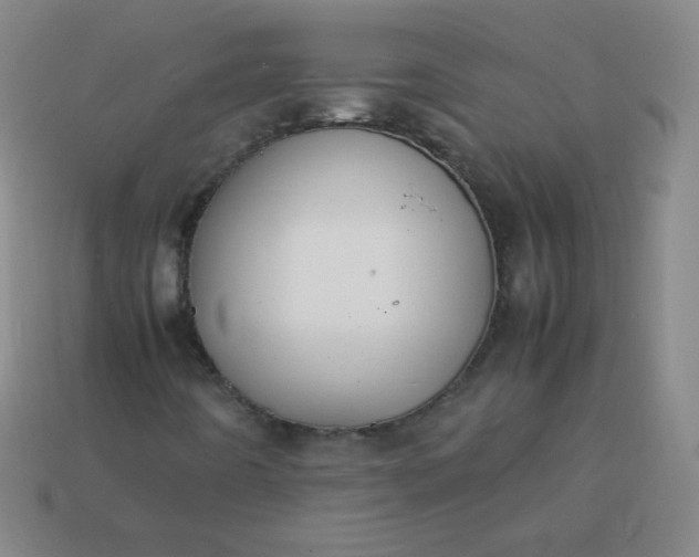 X0000113851442200910081636