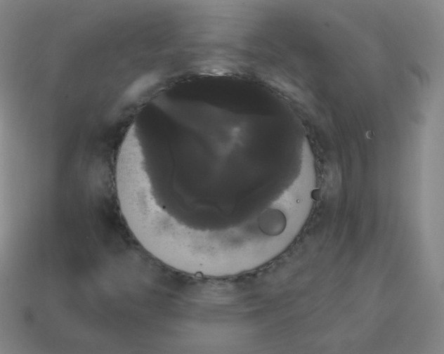 X0000113851446200910081636