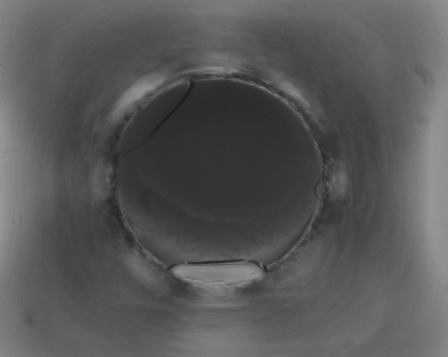 X0000113851448200910081636