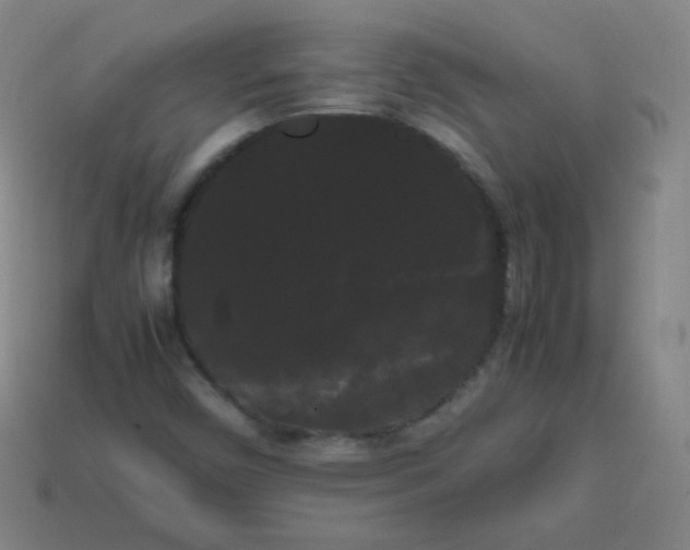 X0000113851450200910081636