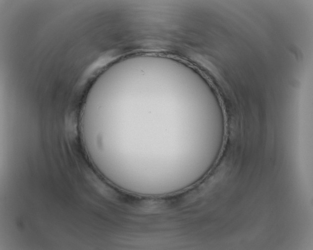 X0000113851451200910081636