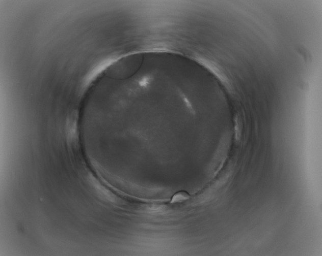 X0000113851452200910081636