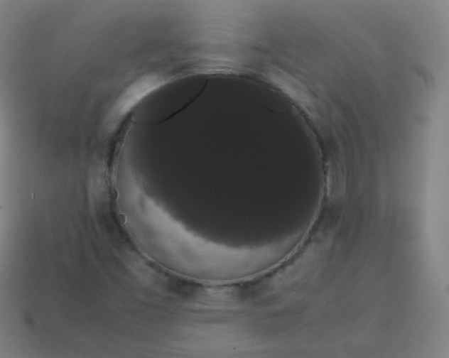 X0000113851453200910081636