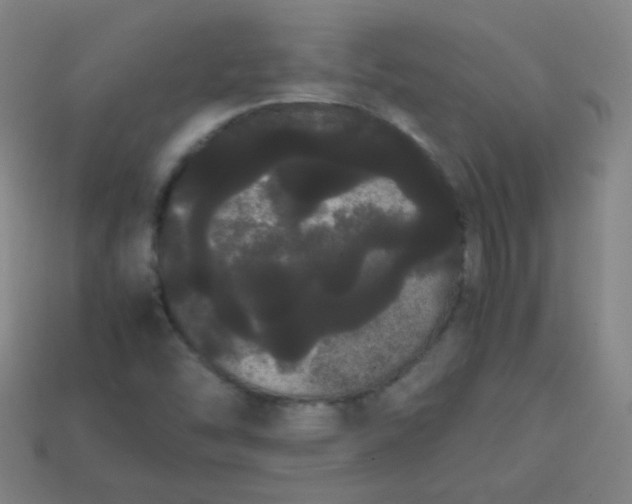 X0000113851454200910081636