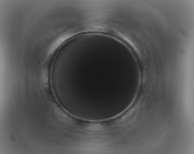 X0000113851455200910081636