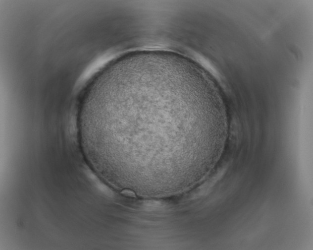 X0000113851456200910081636