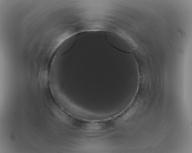 X0000113851457200910081636