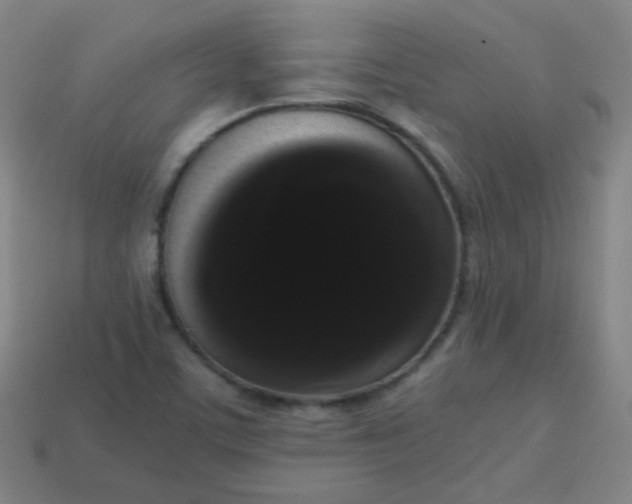 X0000113851459200910081636