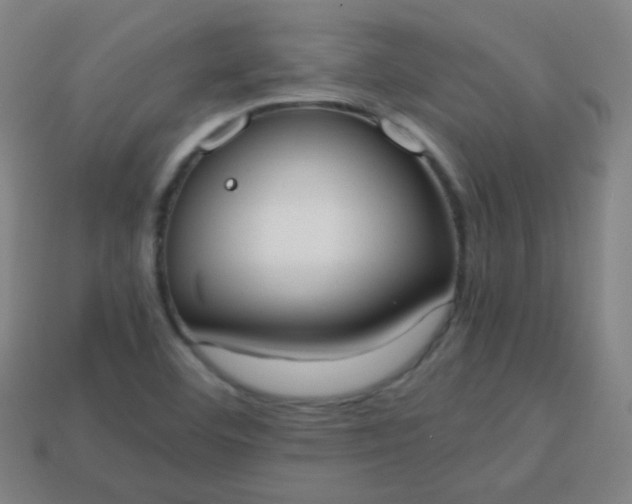 X0000113851460200910081636