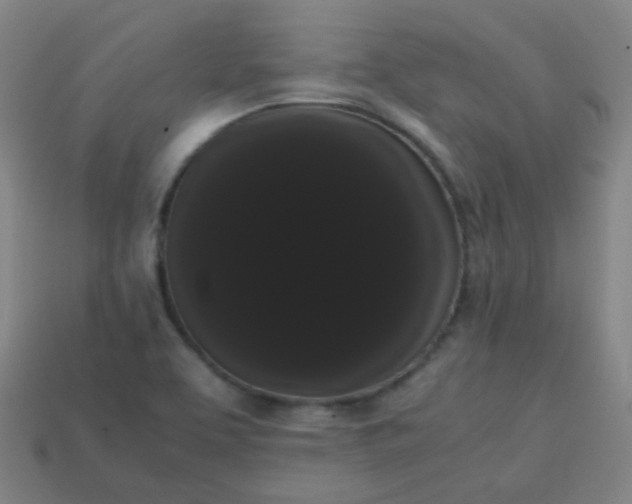 X0000113851463200910081636