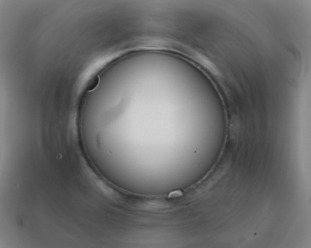 X0000113851464200910081636