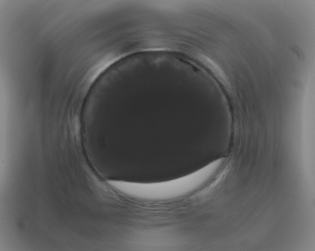 X0000113851465200910081636