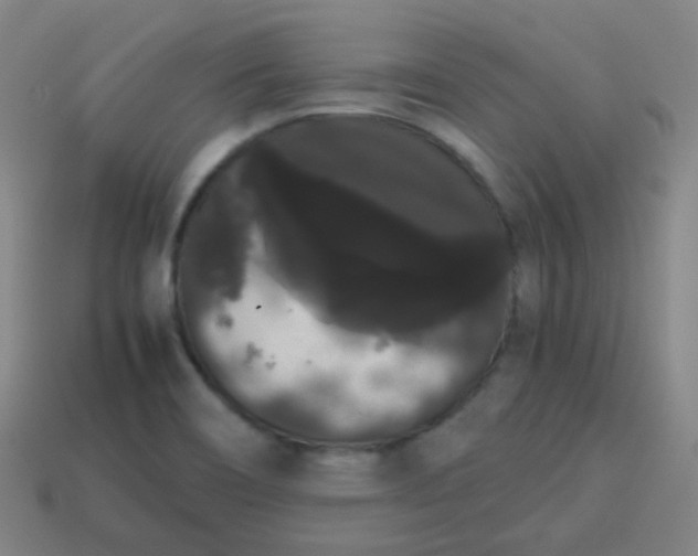 X0000113851466200910081636