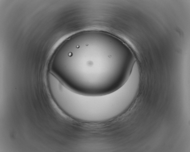 X0000113851468200910081636