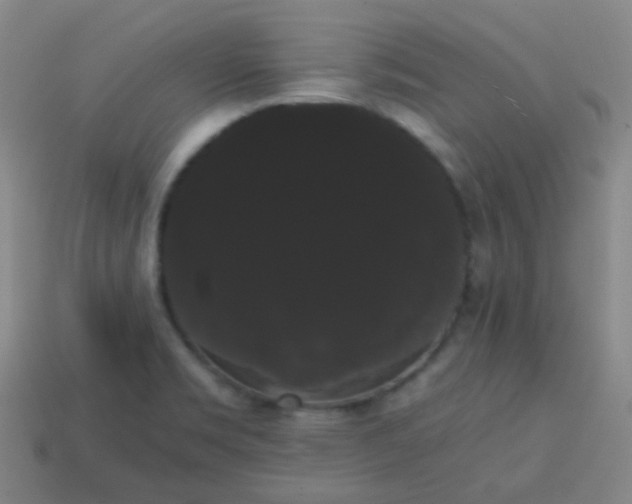 X0000113851469200910081636