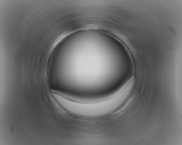 X0000113851473200910081636