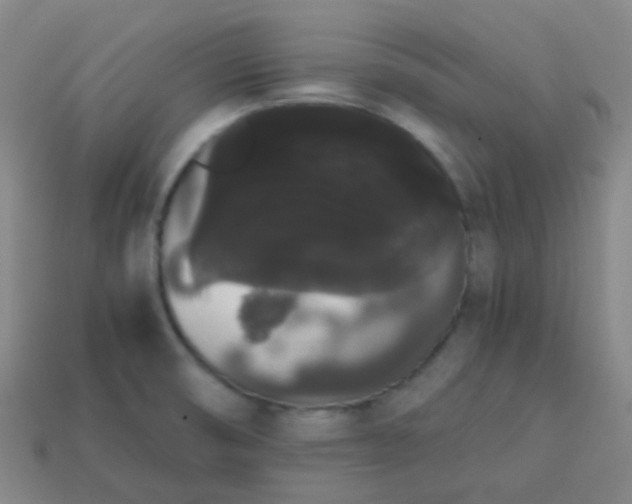 X0000113851474200910081636