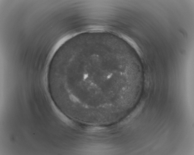 X0000113851475200910081636