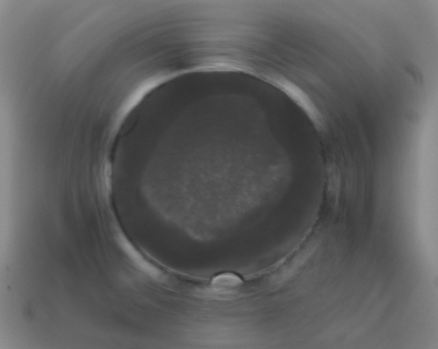 X0000113851476200910081636