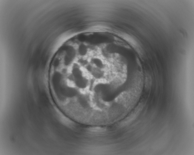 X0000113851478200910081635