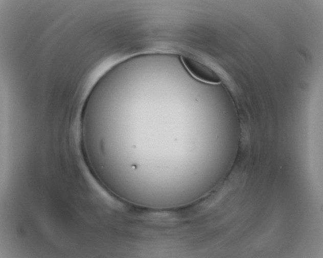 X0000113851479200910081635