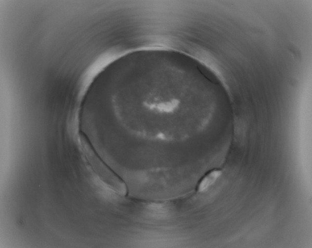 X0000113851480200910081635