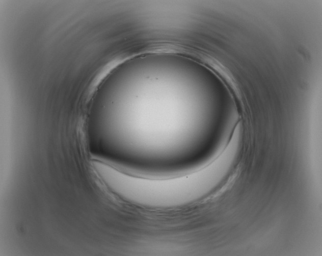 X0000113851481200910081635