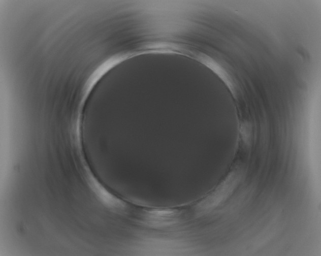 X0000113851482200910081635