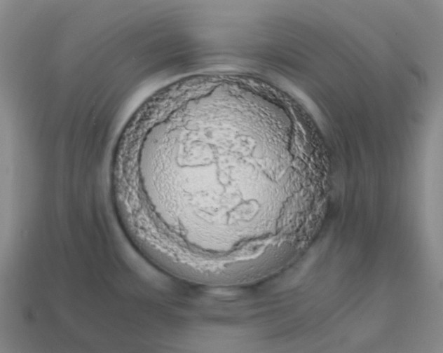 X0000113851483200910081635