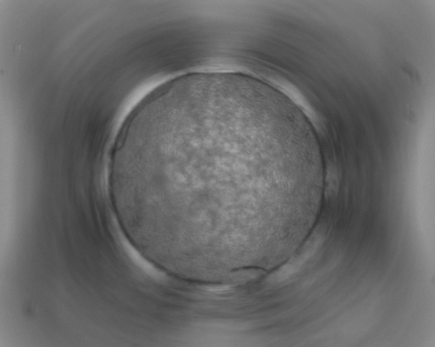 X0000113851484200910081635