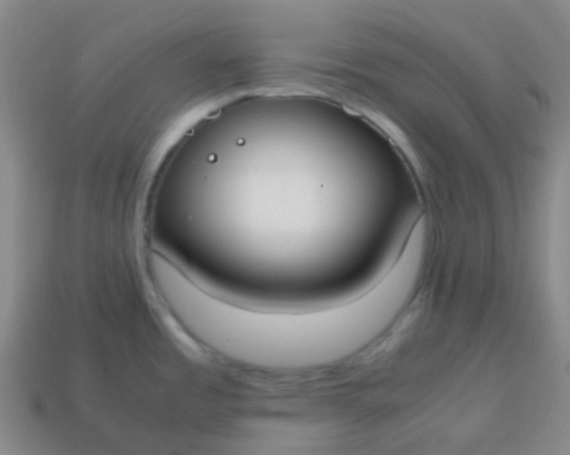 X0000113851485200910081635