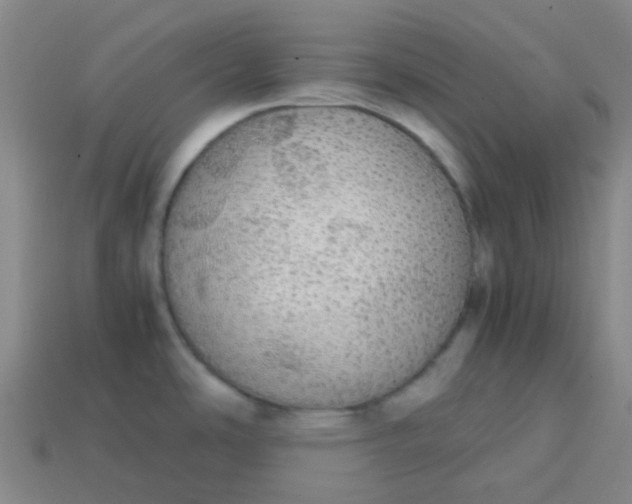 X0000113851486200910081635