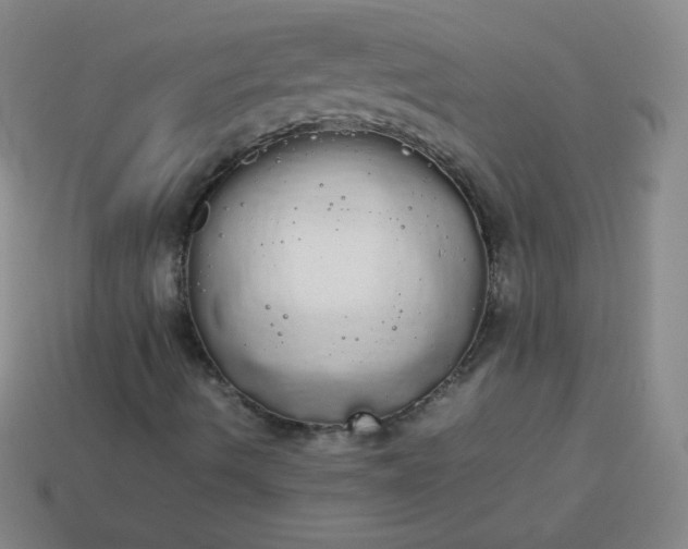 X0000113851490200910081635