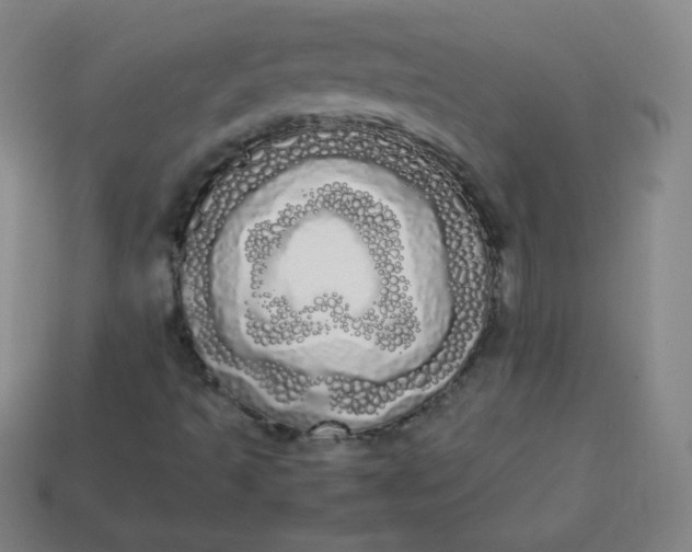 X0000113851493200910081635