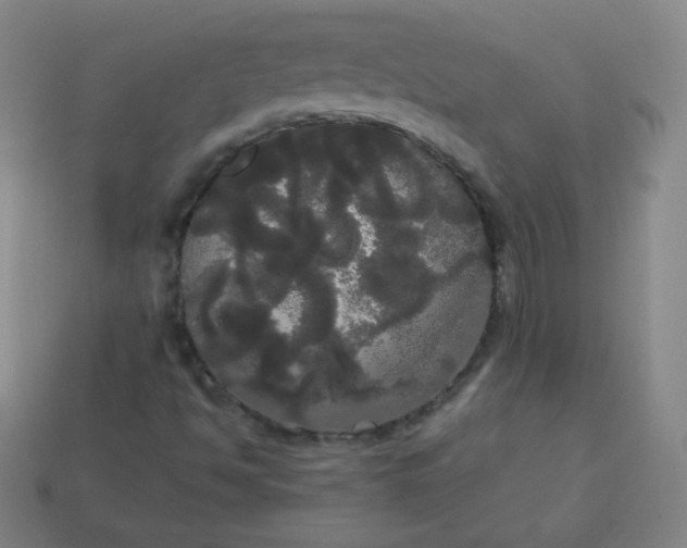 X0000113851494200910081635