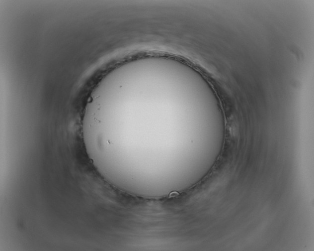 X0000113851495200910081635