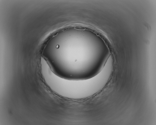 X0000113851496200910081635