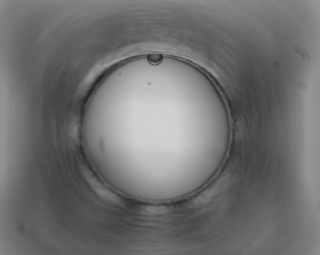 X0000113851499200910081635