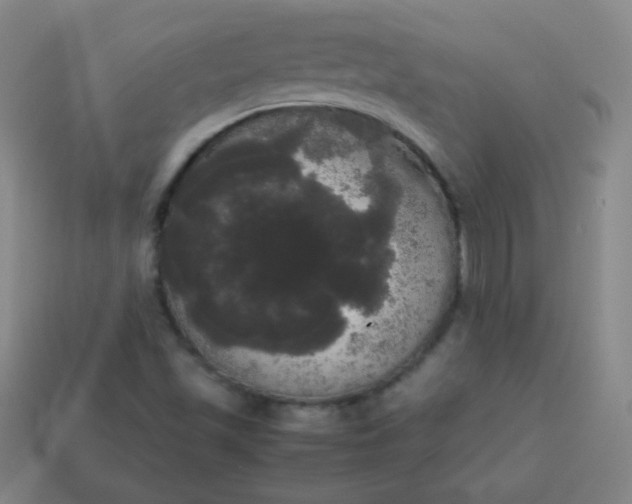 X0000113851501200910081635